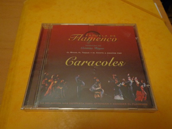 Escuela del Flamenco Cristina Hoyos